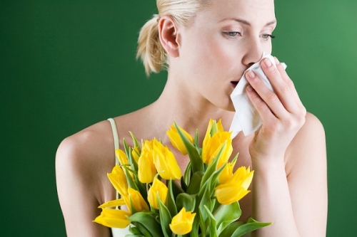 Что мы знаем про аллергию на сегодняшний день Кто открыл аллергию?